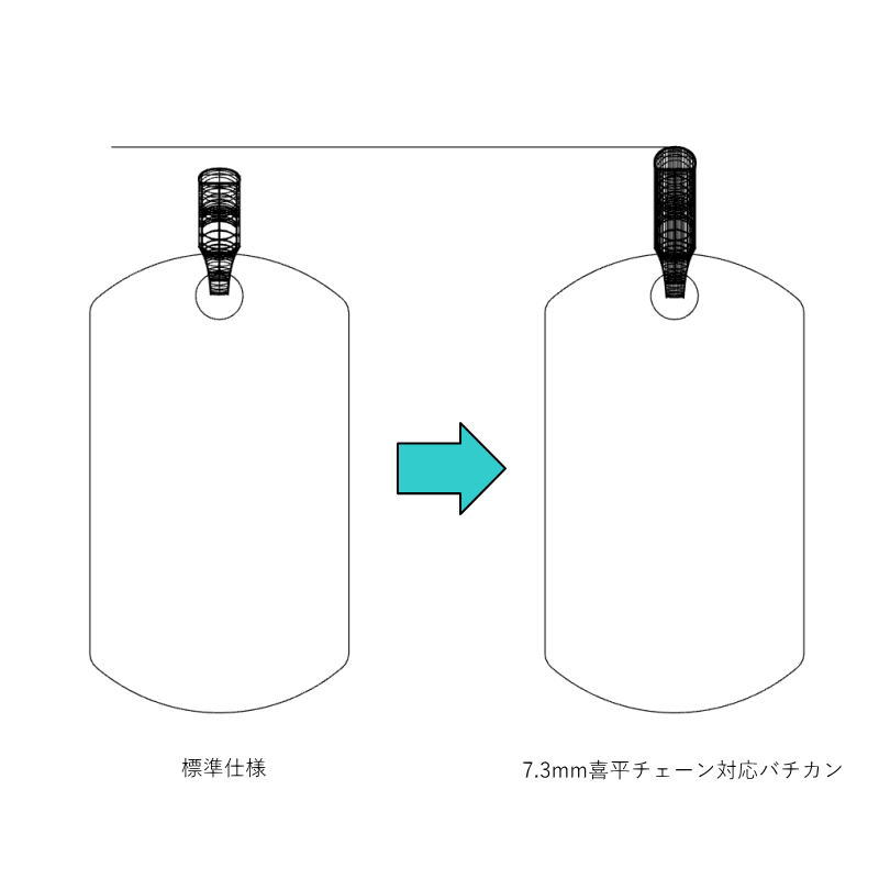 バチカン変更対応